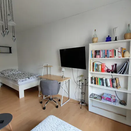 Apartment Oelsnitz Am Hegebach Mit Netflix Und Parkplatz Self Check-in